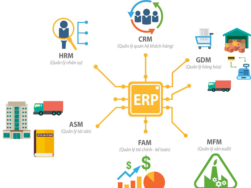 Các doanh nghiệp SME có cần sử dụng phần mềm ERP?